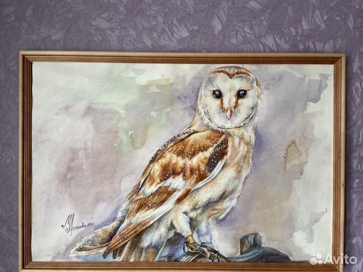 Картина акварелью «Зимняя сипуха»