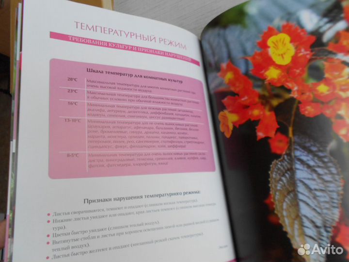 Календарь по уходу за комнатными растениями