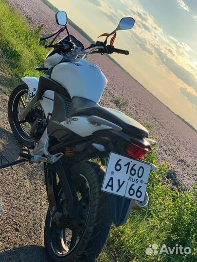Stels flex 250