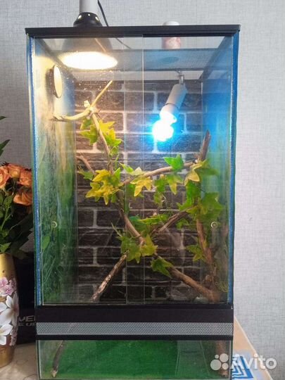 Террариум для рептилий бу