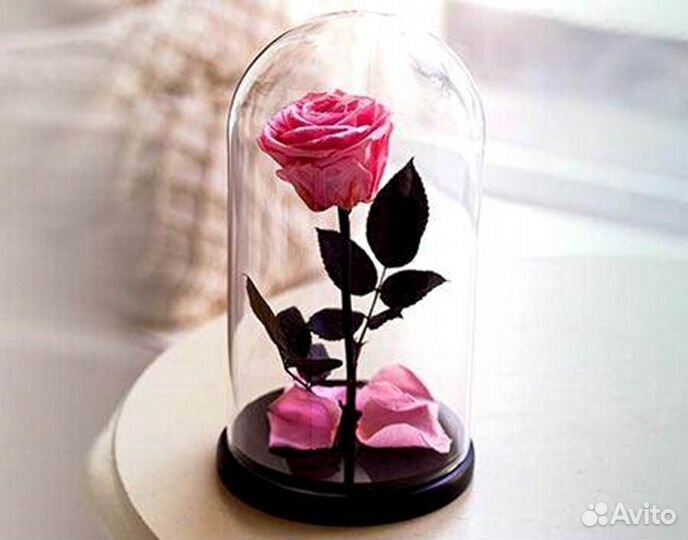 Розы в колбе на выбор
