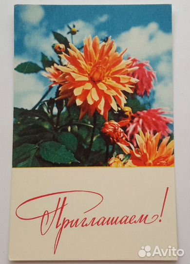 Открытки 1960 г