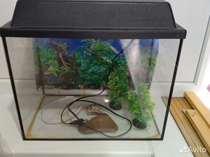Аквариум