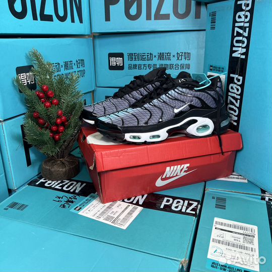 Nike Air Max TN Plus Серые оригинал (poizon)