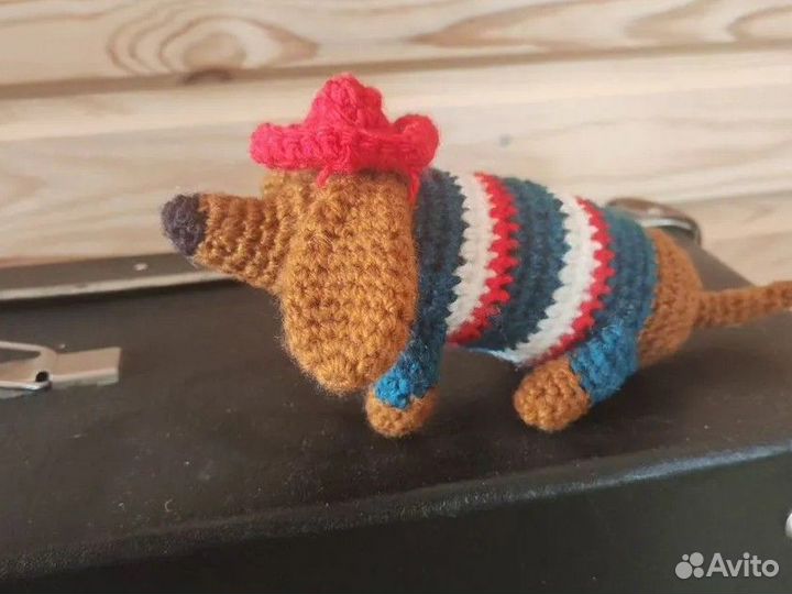 Собака в шляпе