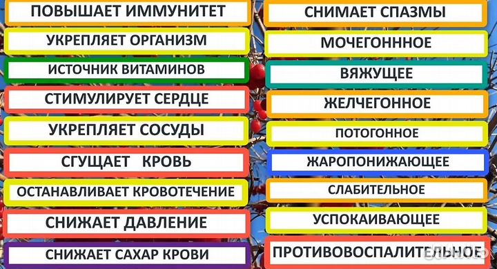 Сок калины замороженный