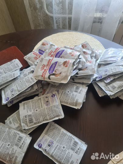 Влажный корм для кошек