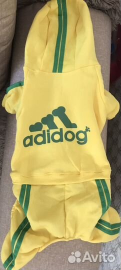 Одежда для животных