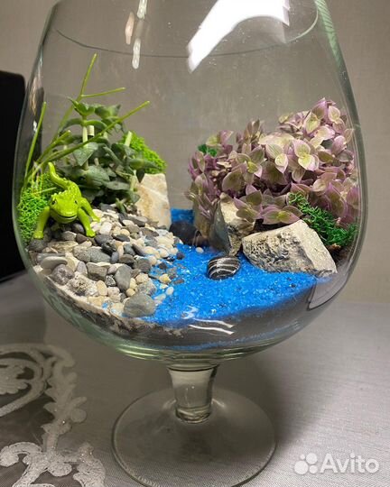 Флорариум суккуленты decor