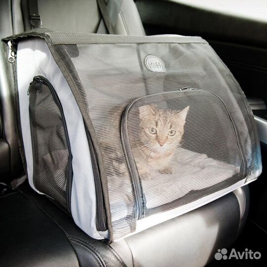 Перевозка животных по россии зоотакси