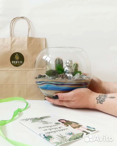 Флорариум стеклянный шар с кактусами