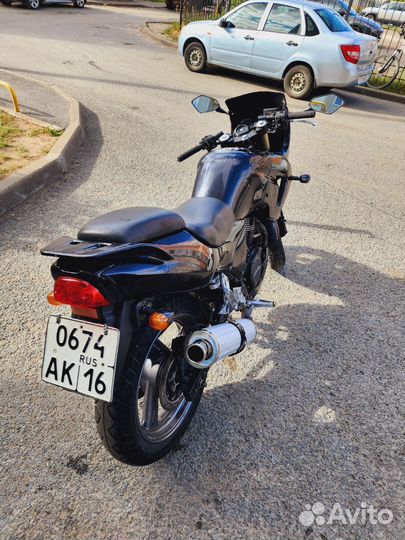 250 кубов zongshen zs250gs