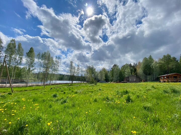 Участок 11,5 сот. (СНТ, ДНП)