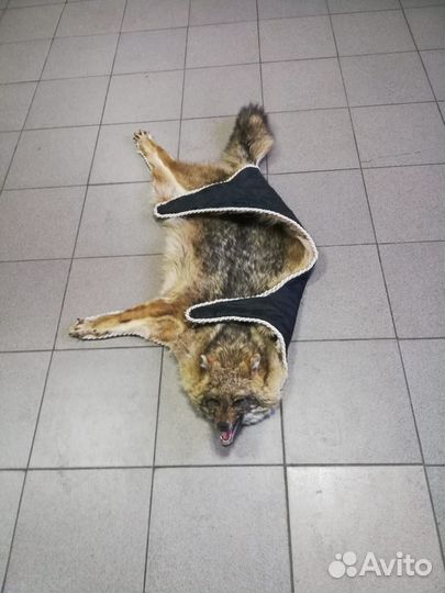 Ковер из шкуры степного волка