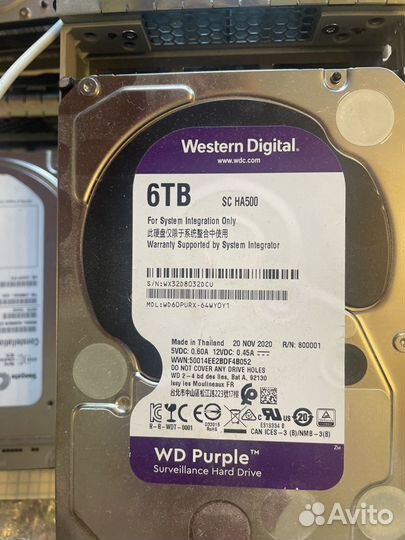 Western digital purple 6tb