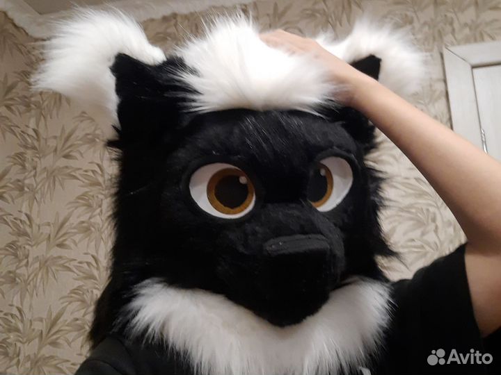 Фурсьют основа кота