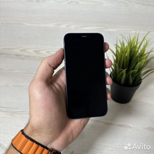 iPhone 12 mini, 256 ГБ