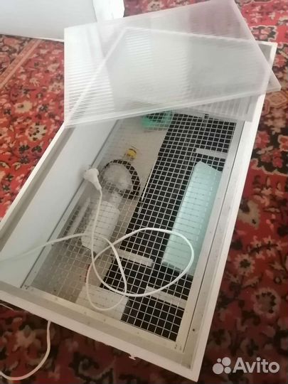 Инкубатор матрица рио