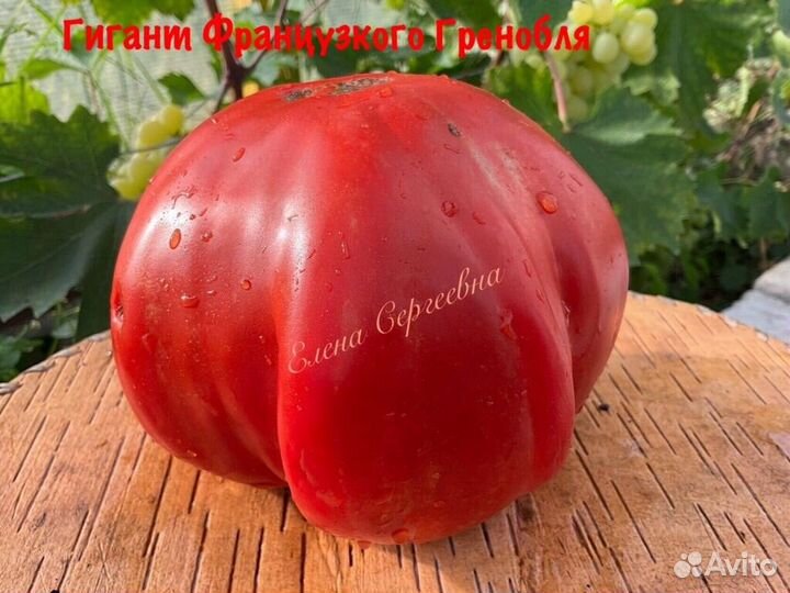 Семена томатов (3)