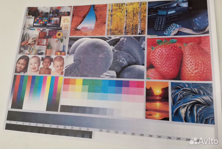 Мфу лазерный цветной Samsung CLX-3305