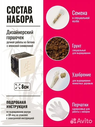 Бонсай Айва Японская