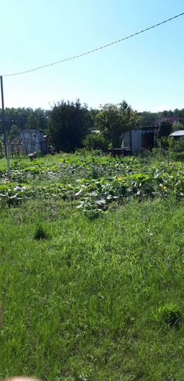 Участок 8,7 сот. (СНТ, ДНП)
