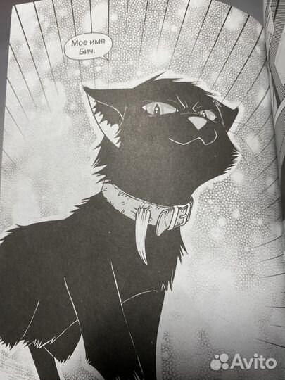 Коты-Воители, манга: 1 Выпуск. Крутобок и Бич