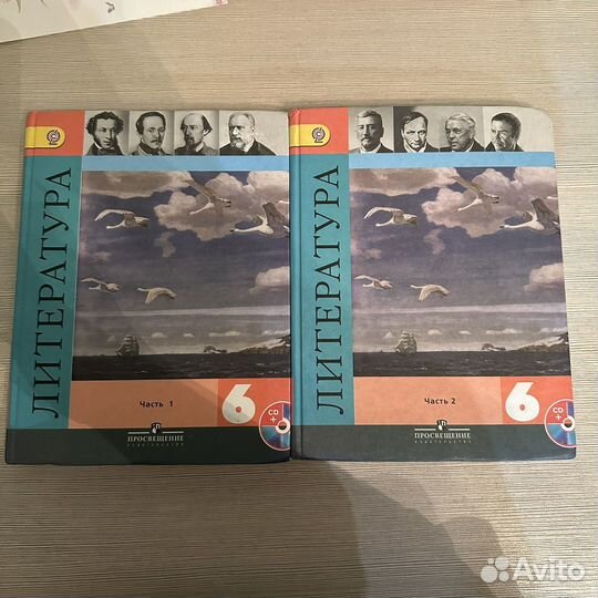 Литература 6 класс Коровина