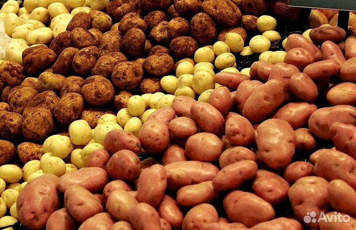 Картофель для кафе и ресторанов