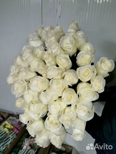 Розы букет цветов