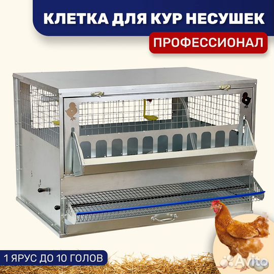 Клетки для кур несушек