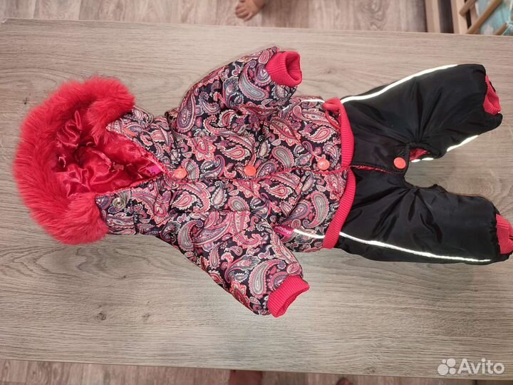 Комбинезон на собачку