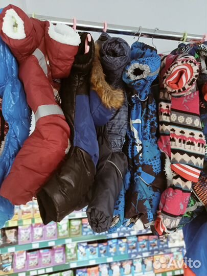 Одежда для собак