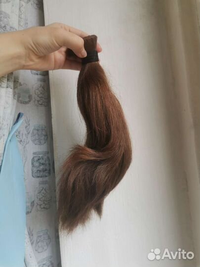 Срез Волос натуральные Славянка руссые. 31 см