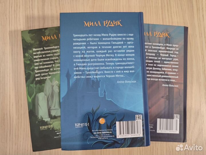 Набор книг: Мила Рудик (#1)