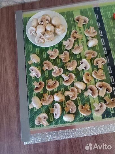 Сушилка для овощей и фруктов 0,5*1,25 м. 136 Вт