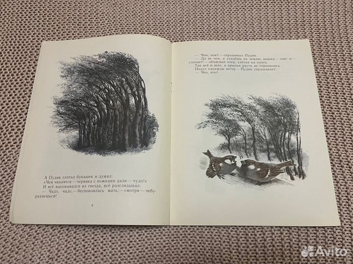 Воробьишко. Горький. Худ. Чарушин. 1983