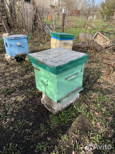 Пчелиные ульи