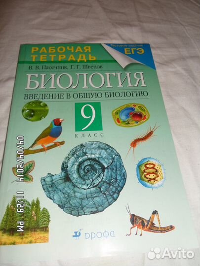 Рабочие тетради