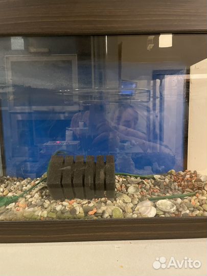 Аквариум с встроенным фильтром