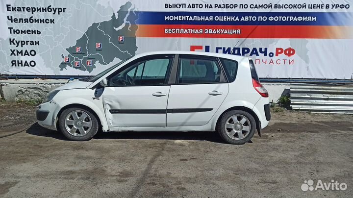 Накладка стекла двери задней левой Renault Scenic