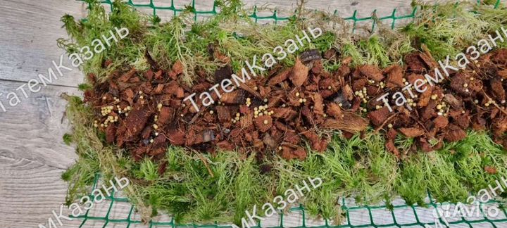 Тотем для растений