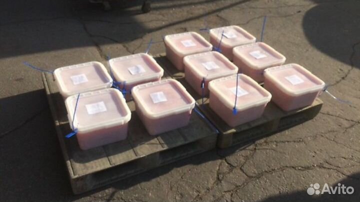 Красная икра