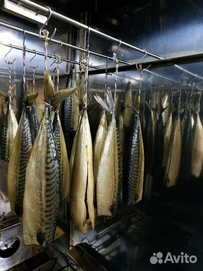 Коптильня Дачная в Рассрочку с Конвекцией