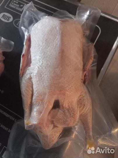 Мясо утки, бройлера