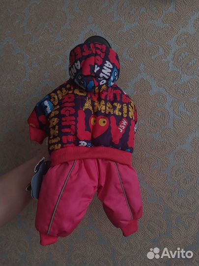 Одежда для маленьких собак