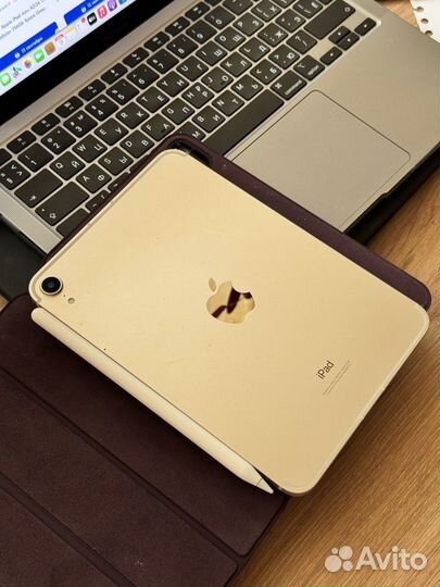 iPad mini 6 cellular