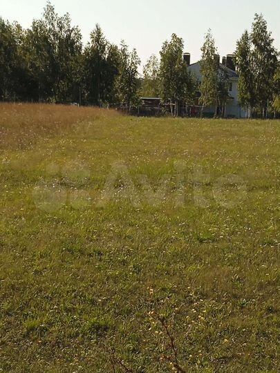 Участок 1,25 га (СНТ, ДНП)