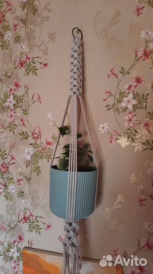 Подвес макраме для растений