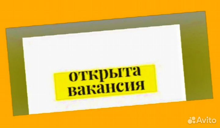 Оператор линии Без опыта Еженедельные выплаты